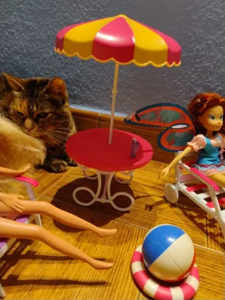 Muñecas estilo Barbie en la playa