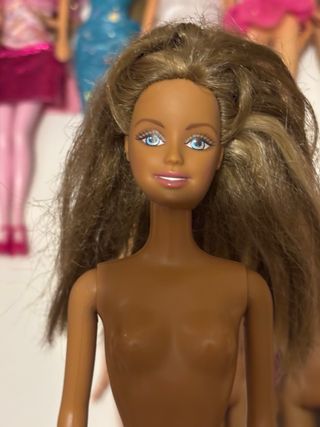 Lote de Barbies