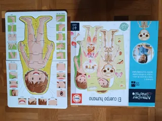 Puzzle Cuerpo Humano 4-7 años Educa