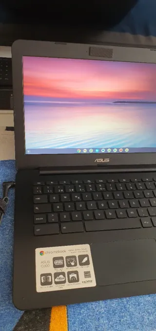 Portátil Asus C300S Chromebook Negro