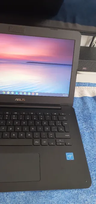 Portátil Asus C300S Chromebook Negro