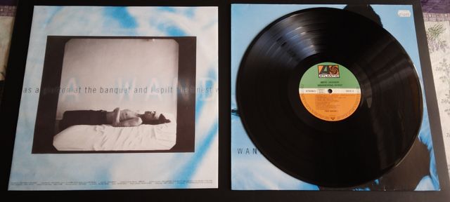 VINILO de MIKE JAGGER