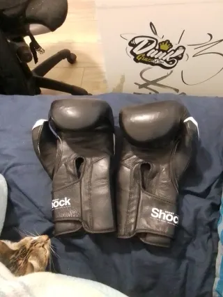 Guantes Boxeo Leone 16oz