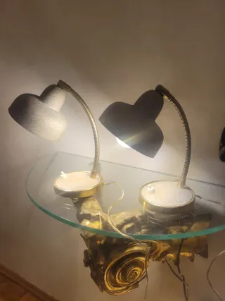 Coppia Lampade Scrivania Anni '60