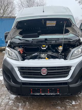 FIAT Ducato 2019