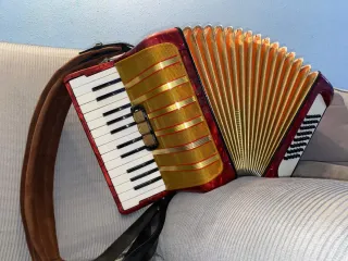 Fisarmonica Hohner Student IV 40 bassi