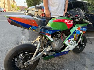 PIT BIKE 110cc CIRCUITO