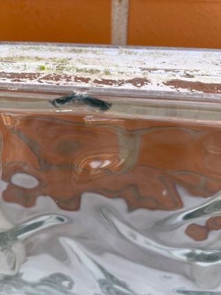 Bloques de vidrio decorativos