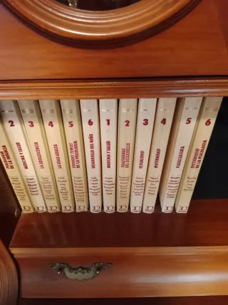 Enciclopedia diccionario la dos de la foto