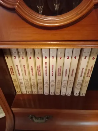 Enciclopedia diccionario la dos de la foto