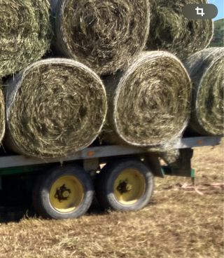 Bolas de heno para ganado
