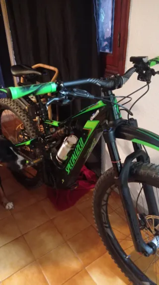 Specialized Turbo Levo edición limitada