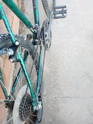 Bicicleta de Montaña