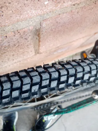 Bicicleta de Montaña