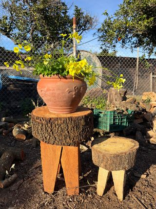 Bancos rústicos de madera (2 unidades)