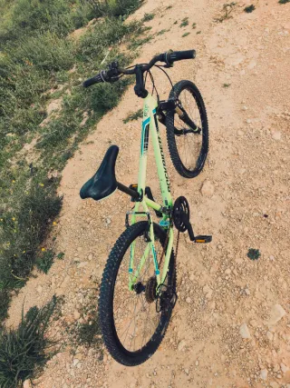 Bicicleta Rockrider ST 500 24 Verde