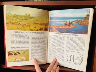 Enciclopedias Completas