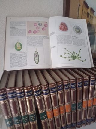Enciclopedia de agostini