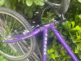 MTB Frejus Viola