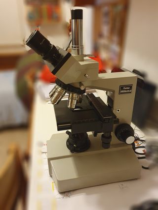 Microscopio Profesional Kyowa Medilux-12 83-483D