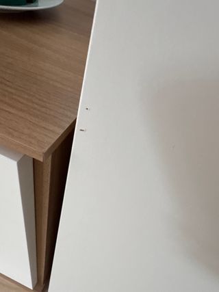 Módulo Besta blanco