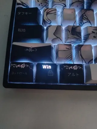 Keycaps Negro y Gris