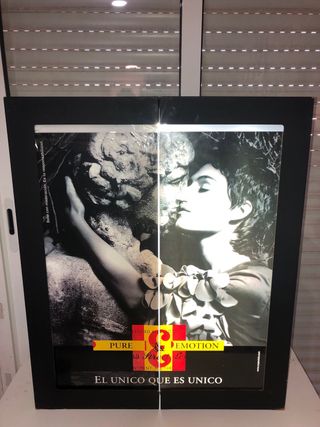 Diana Electrónica Profesional