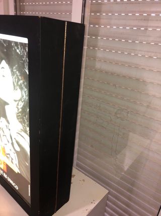 Diana Electrónica Profesional