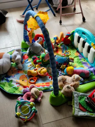 Lote Gimnasio Fisher Price y Juguetes