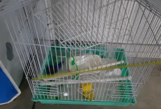 Gabbia per uccelli con sacco