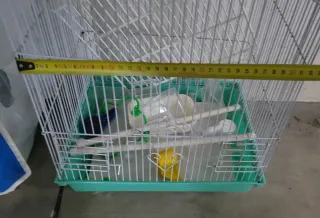 Gabbia per uccelli con sacco