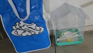 Gabbia per uccelli con sacco