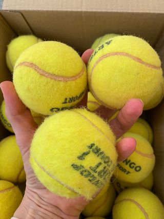 61 Pelotas Tenis y Pádel