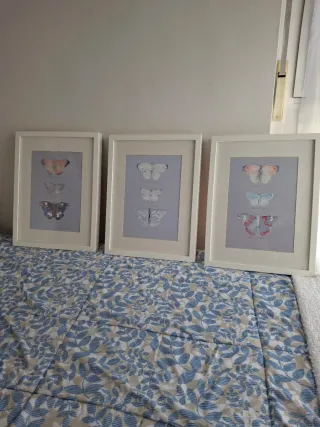 3 Cuadros Mariposas