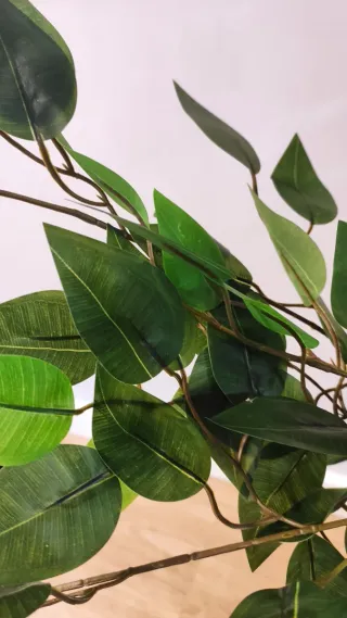 Ficus Artificial Decorativo