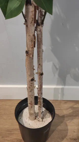 Ficus Artificial Decorativo