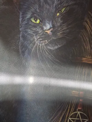 Stampa lenticolare gatto nero Lisa Parker