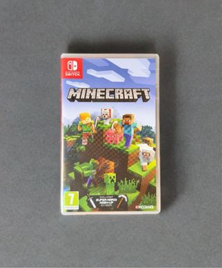 Minecraft Nintendo Switch