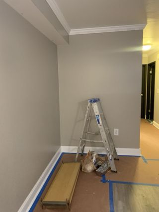 Quita Gotele y Pintura Profesional