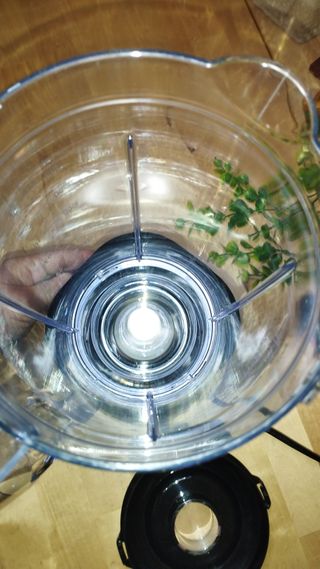 Licuadora Amazon basics