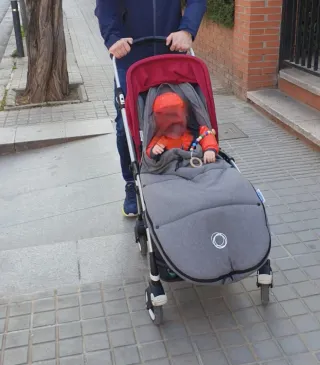 Carrito Bugaboo Bee 5