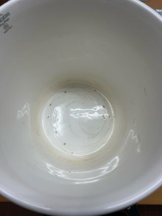 Vaso Facciolini Ceramica Decorato