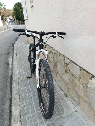 Bicicleta Canyon Yellowstone 29" + Complementos