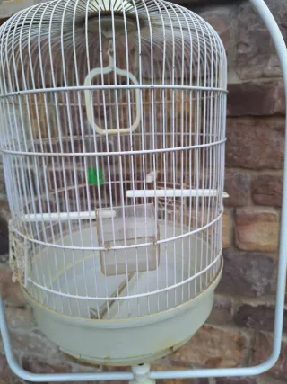Jaula para pájaro con pie
