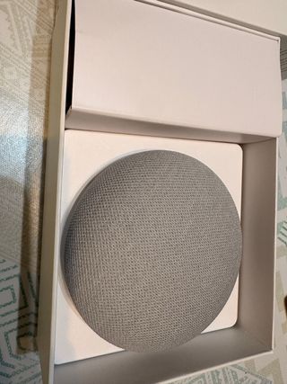 Google Nest Mini