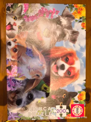 Puzzles 4 diferentes