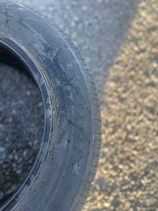 Neumático bridgestone + Regalo