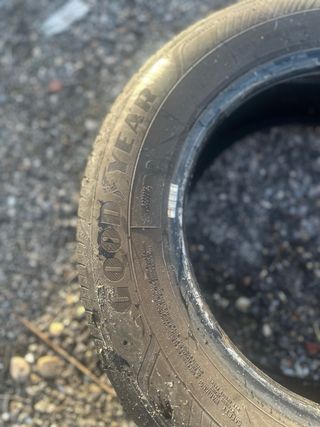 Neumático bridgestone + Regalo