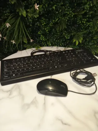 Lote ratón HP mas Teclado HP Negro.