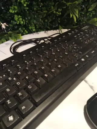 Lote ratón HP mas Teclado HP Negro.